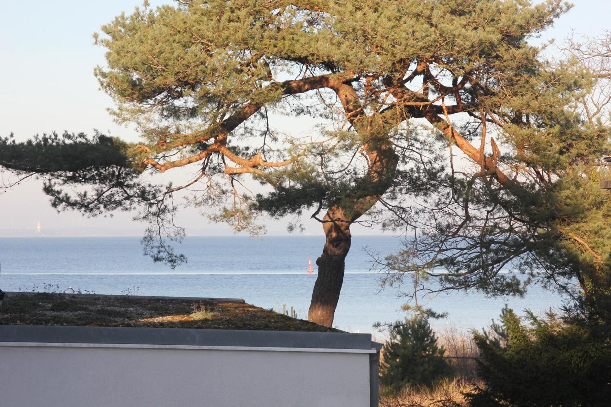 Sea And Salt Appartement Timmendorfer Strand Buitenkant foto